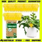 Super Ninja Fungus Gnat Killer - 30 Yellow Sticky Traps for Fruit Flies & Gnats