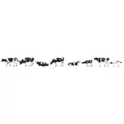 Faller Ho 8 Friesan Cows Black And White
