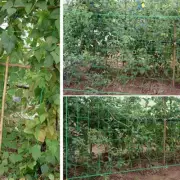 Garden Nylon Trellis Netting Support Climbing Bean-Plant Net Grow Fence Decor