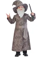 Wise Grey Wizard Boys Dress Up Costume