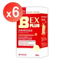 在飛比找ETMall東森購物網優惠-【台塑生醫 醫之方】長釋B群EX PLUS加強錠(60錠)x