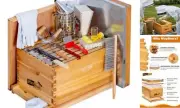 10-Frame Beehive Starter Kit, Bee Hive Kit Dipped in 100% 10Frame Hive Kit