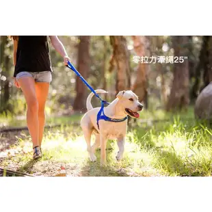 EZYDOG 零拉力牽繩 Zero Shock Leash 64CM 120CM【特價】