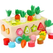 Geometry Coin Box Wooden for Child 2 3 Year Activity Center Teaching Props