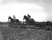 Winner 'Devon Secret' andymount' take last hurdle together Photo