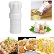 Garlic Press Ginger Garlic Cube Cutter Crusher Mincer Chopper Kitchen Tool