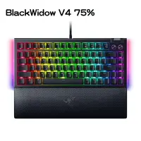 在飛比找樂天市場購物網優惠-【最高現折268】Razer 雷蛇 BlackWidow V