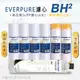 【Everpure】美國原廠平行輸入 BH2 濾心+高品質前置5uPP濾心+樹脂濾心(7支組)