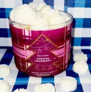 Bath and body works Frosted Cranberry CandleWax Melts