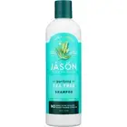 Jason Natural Products Purifying Shampoo Tea Tree 12 Oz