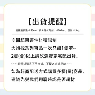 CRAFTHOLIC 宇宙人 安撫柔柔企鵝大抱枕 送禮推薦 生日禮物 情人節禮物 交換禮物 娃娃 公仔