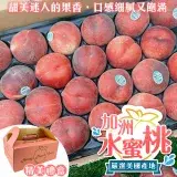 在飛比找遠傳friDay購物優惠-【果之蔬】美國加州水蜜桃(10入禮盒_180g/顆)