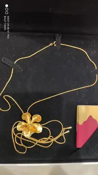 在飛比找Yahoo!奇摩拍賣優惠-新加坡Risis蘭花(卓錦萬代蘭）鍍24k金項鍊