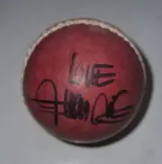 HARBHAJAN SINGH SIGNED LEATHER Cricket ball PROOF COA Waugh Ponting Warne India