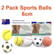 Sports Balls 2pk Pet Dog Play Balls Puppy Dog Toys Balls Sets Fetch Balls Toy