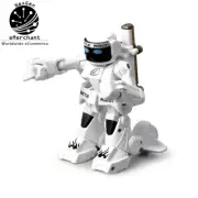 RC Boxing Robot Toy with Remote Control, 2.4G Humanoid Fighting Battle Robot