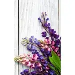 LUPINE FLORAL NOTEBOOK: BEAUTIFUL NOTEBOOK WITH FLORAL DESIGN - LINED FLORAL JOURNAL RUSTIC FLOWER JOURNAL NOTEBOOK - GIFT DIARY GRATITUDE - F