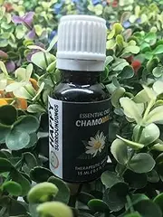 Chamomile Essential Oils ~ Pure Natural Aromatherapy Massage Oil - Therapeutic Grade - 100% Natural Incense - Pure essential oil (10ml)