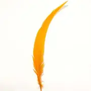 20" to 30" Silver Pheasant Tail Feather - Orange