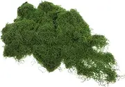 Abaodam 100g Artificial Moss Terrarium Moss Decorative for Outdoor Planters Garden Potted Plant Decoration