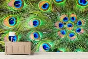 3D Peacock Feather ZHUA2621 Wallpaper Wall Murals Removable Self-adhesive Amy