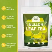 50 Packs Mullein Leaf Tea Bags - Lung Cleanse Detox Herbal Enhance Immunity 100g