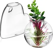 TOYANDONA 2Pcs Hanging Glass Planters Borosilicate Wall Vases for Hydroponics Indoor Plants Easy Installation Terrarium Holder for Home Decoration Living Decor