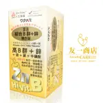 友一商店「渡邊」 綜合B群 鋅 糖衣錠  ▏硒 銅 牛磺酸 保健 保健品 WATANABE B群 綜合 人生製藥 日本