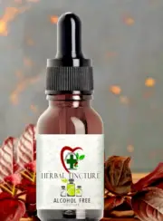 ORGANIC Lemon Balm Tincture ALCOHOL FREE Herb Extract Herbal Concentrate Liquid