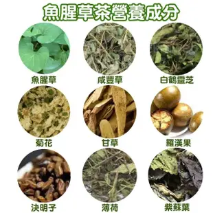 【王媽媽推薦】魚腥草養生茶12包組(4g×10茶包/包)