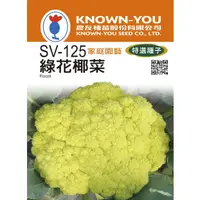 在飛比找蝦皮購物優惠-【台灣出貨 電子發票】綠花椰菜 種子 0.8g 菜籽 結球 