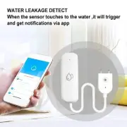 Smart Home Water Immersion Detector with Wifi Connectivity and Alarm System