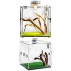 1x Acrylic Jumping Spider Enclosure Reptile Terrarium for Jumping Spider