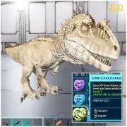 Ark Survival Ascended Pve Chibi Carch