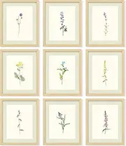 [97 Decor] Vintage Botanical Wall Art - Antique Botanical Prints, Rustic Floral Wall Art, Flower Art Wall Decor, Wildflower Posters Botany Pictures for Home Bedroom Decorations (8x10 UNFRAMED)