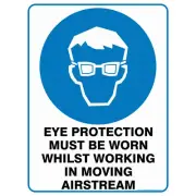 Eye Protection Must Be Worn Whilst Working In Moving Airstream | Mandatory Signs