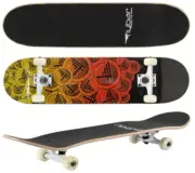 Newbie Skateboards Beginners Skating Maple Wood Lightweight Non Slip Flybar 31"