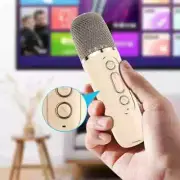 Mini Portable Karaoke Machine • with 1-2 Wireless Microphones • Bluetooth 5.3
