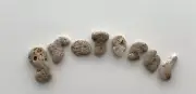 Natural Letter Shaped Rocks GRATEFUL Beach Pebble Hag Stone word art craft USA