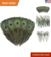 Vibrant 120 Natural Peacock Feathers (10-12 Inch) for Weddings & DIY Projects
