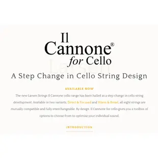 丹麥LARSEN Cannone Cello 大提琴弦-4/4專用套裝組
