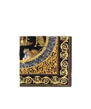 Versace Leopard Printed Scarf One size brown