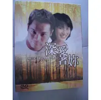 在飛比找PChome商店街優惠-深愛著妳-(全劇18集)--郭晉安＆黎美嫻＆丘惠璇主演**全