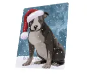 Let it Snow American Staffordshire Dog Woven Throw Sherpa Blanket T52