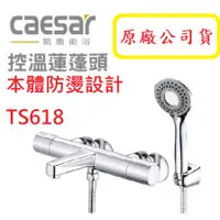 在飛比找蝦皮商城精選優惠-挑戰蝦皮最便宜Caesar 凱撒 TS618 溫控 控溫沐浴