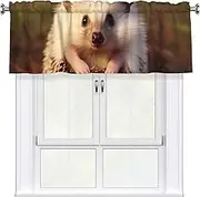 LHBWCVN Baby Hedgehog Valances for Windows, Rod Pocket Window Treatment Drapes Farmhouse Kitchen Curtains Short Blackout Window Curtains for Living Room Bedroom Decor 54x18 Inch
