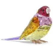 SWAROVSKI SCS Idyllia - Gouldian Finch, Large (5689265)