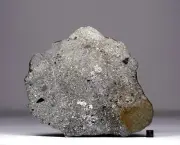 NWA 16652 - 1581,7g - HED Eucrite polymict - MAINMASS - Meteorite