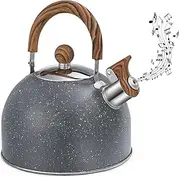 QZTHOU Whistling Tea Kettle for Stove Top,85 OZ/2.5 Liter Stainless Steel Whistling Teapot,with Heat-Resistant Handle and One-Touch Open and Close Button,for Gas,Electric,Induction,Ceramic Stovetops