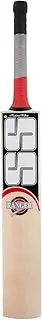 SS Ranger Kashmir Willow Cricket Bat